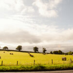 (c)Blue Eclipse Aerial Systems